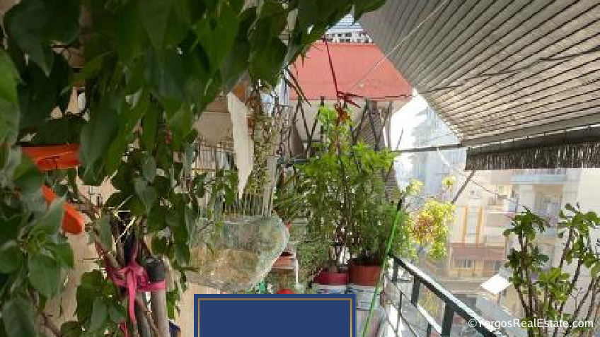 Cover image for the listing property - 46