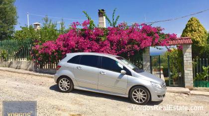 Outside the property